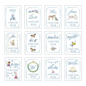 Baby Milestone Cards