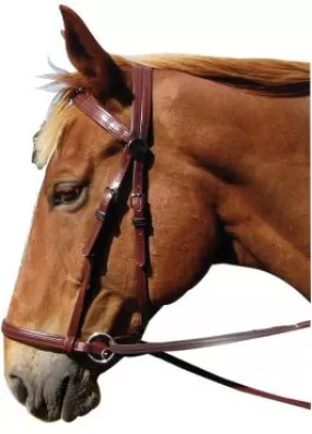 PVC Bitless Bridle